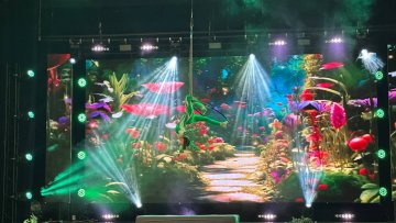 Чемпіонат з пілонного спорту та повітряної акробатики «Повітруля»