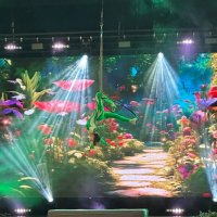 Чемпіонат з пілонного спорту та повітряної акробатики «Повітруля»